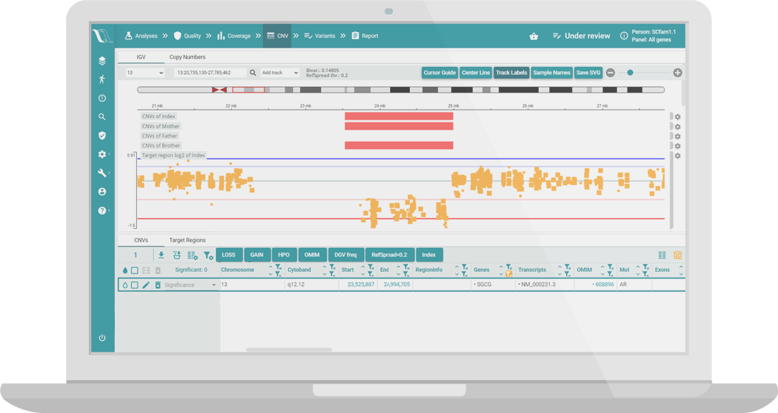 Validated CNV analysis